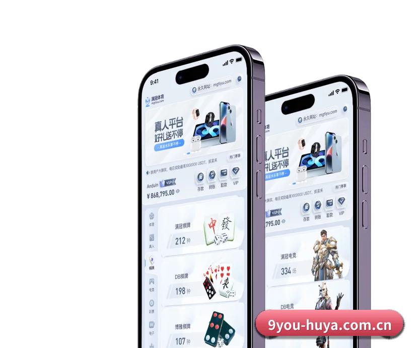 核心发展愿景